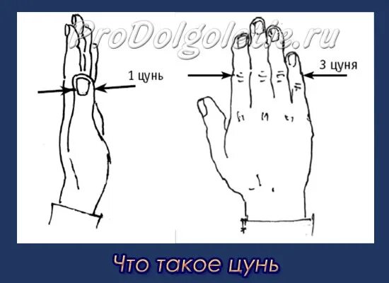 Два цуня смеха. Китайская мера длины цунь. Китайская мера длины цунь. 1 цунь в китайской медицине. Акупунктурная точка gi 6.