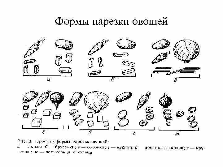 Таблица нарезок овощей. Фигурные формы нарезки овощей таблица с картинками. Схема видов нарезки овощей. Формы нарезки овощей 5 класс технология. Способы нарезки овощей таблица.