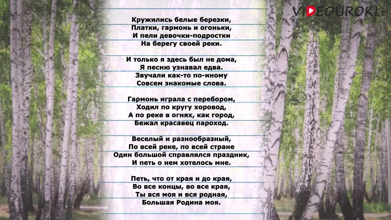 Кружились белые Березки Твардовский. Стих Твардовского кружились белые Березки. А. Твардовский «есть обрыв, где я, играя…». Твардовский береза. Стихотворение белого родине