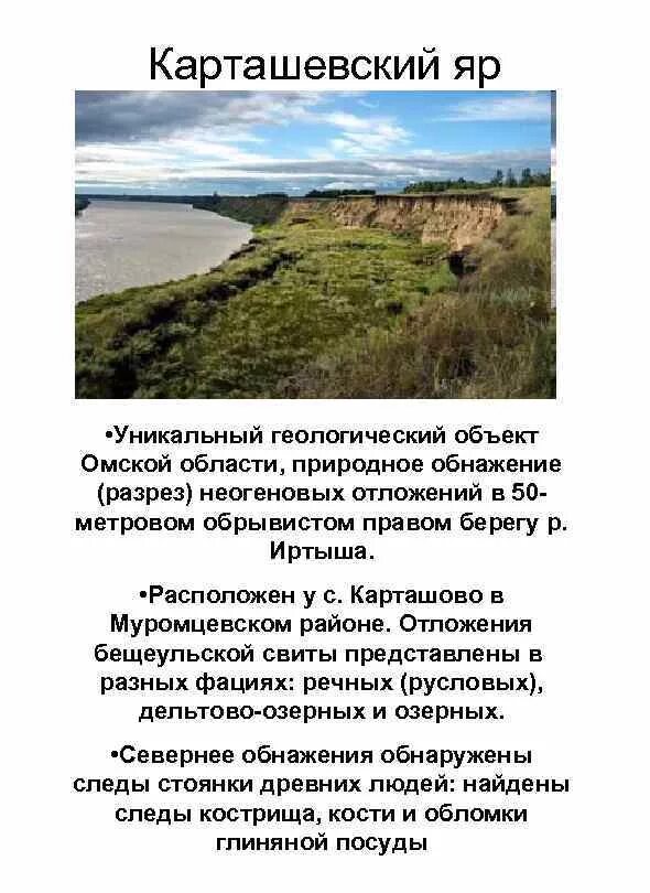 Какие природные богатства в омской области. Природные богатства Омской области 4. Полезные ископаемые Омской области. Полезные ископаемые Омской области сообщение. Омская обл - полезные ископаемые.