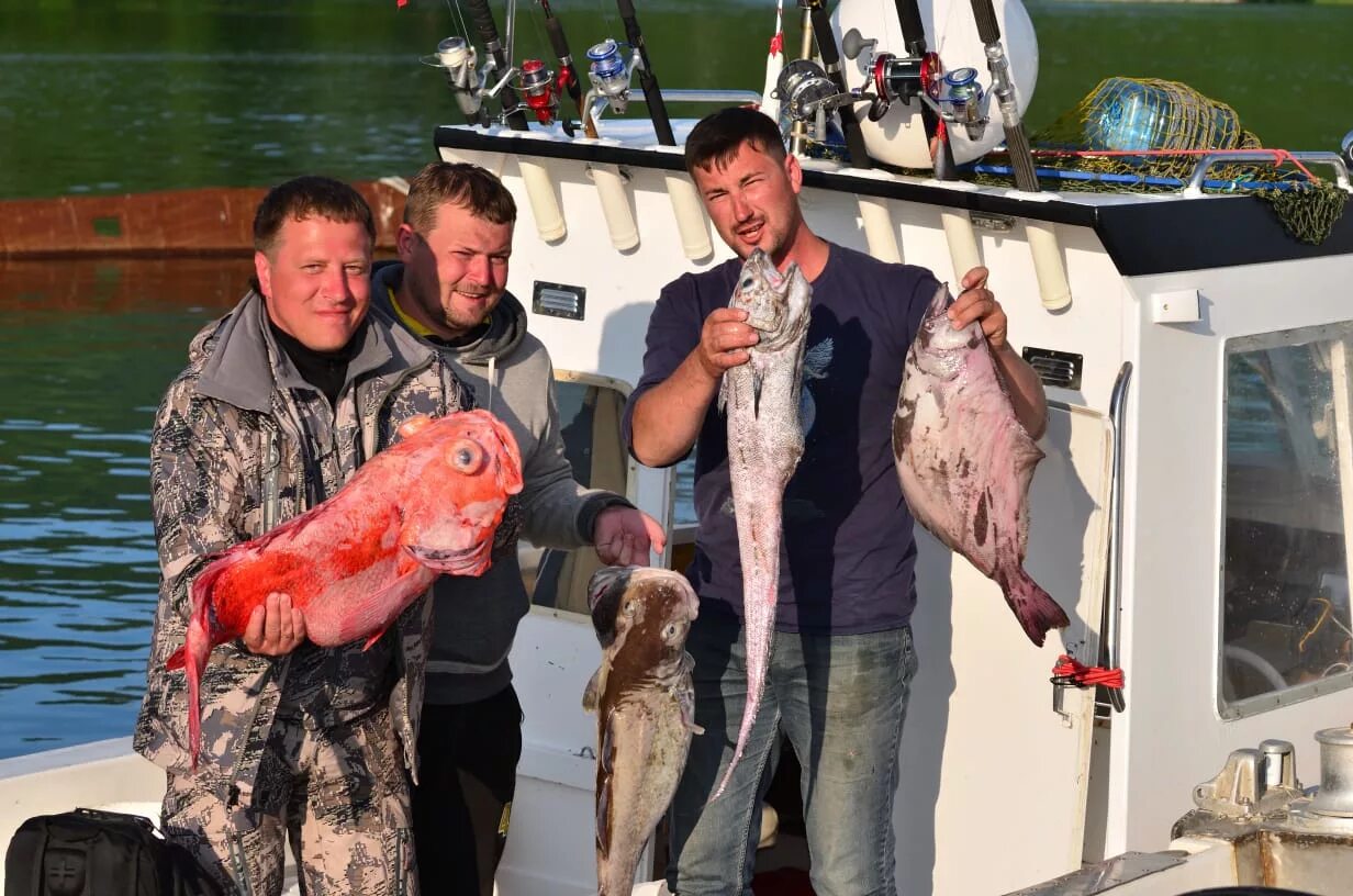 Глубоководный окунь Камчатка. Окунь Капитанский Камчатка. Рыбалка на палтуса на Камчатке. Морская рыбалка Камчатка экскурсии. Рыбалка камчатка 2024