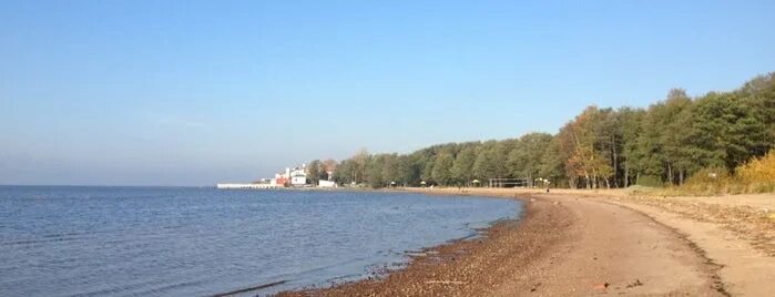 схема водоснабжения лисьего носа в 2022 году. лисий нос сестрорецк. лисий нос финский залив пляж. протяжённость кад санкт-петербург. санкт-петербург посёлок лисий нос песочная улица прибрежный квартал.