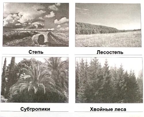 Рассмотрите фотографии каждая из них может служить. Определите в какой из указанных природных зон могла быть сделана. Задания на соответствие по географии. Для каждой фотографии определите. 2 на фотографиях изображены крупнейшие города.