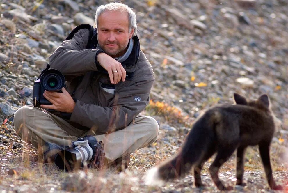 Silver Fox фото.