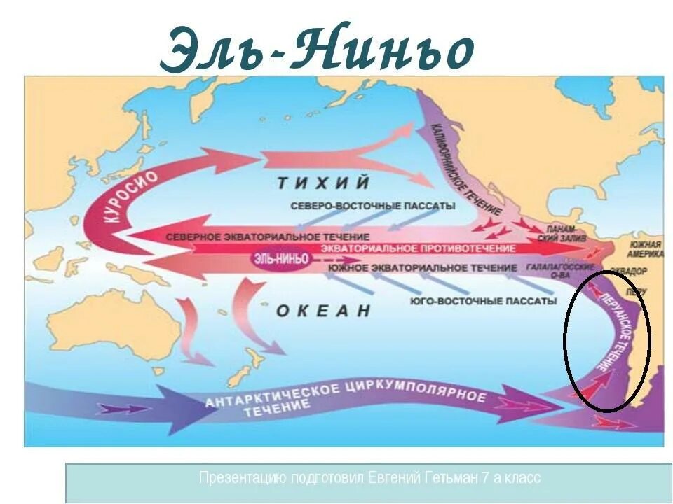 Течения каждого океана. Течение Эль-Ниньо на карте Южной Америки. Эль-Ниньо и ла-Нинья. Эль Ниньо Южное колебание. Эль-Ниньо течение.