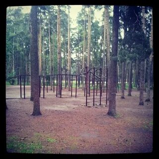 Сосновке завтра