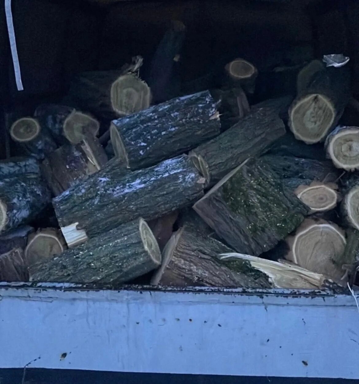 Дрова самара. Дрова акация. дрова по 2 метра в самаре. шайба кузов газель в дерево.