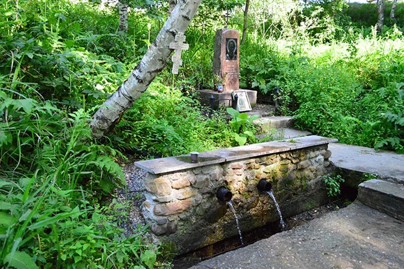 Святой источник Николая Чудотворца. Кисловодск Родник — источник Николая Чудотворца.. Святой источник явленная старое Синдрово. Родник Синдрово. Род родник