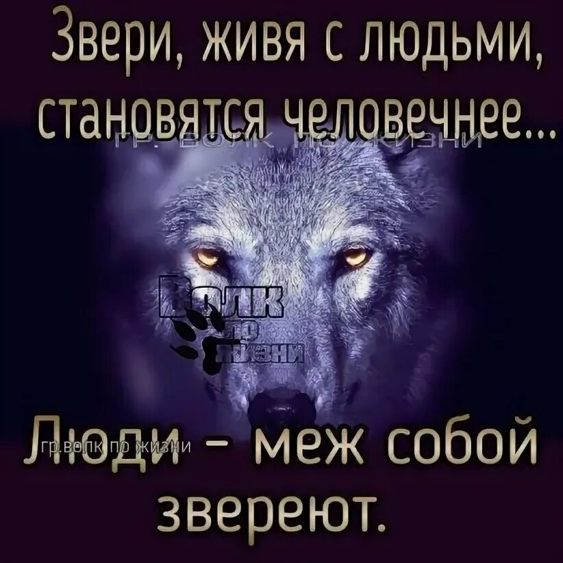 Хозяин моей жизни черри. Прежде чем напугать меня. Прежде чем пугать меня подумай. Прежде чем угрожать мне. Прежде чем меня пугать подумай что будет если я не испугаюсь.