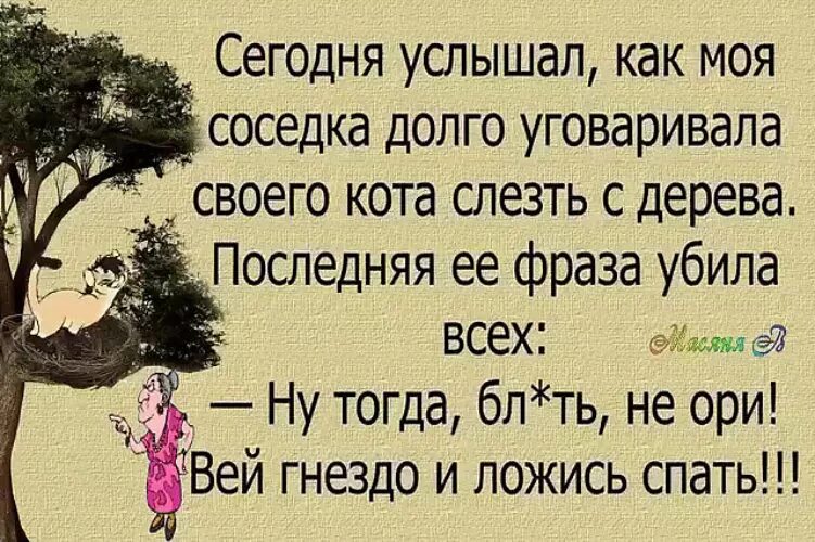 Пришел помочь соседке. Вей гнездо и ложись спать анекдоты. Ну тогда не ори Вей гнездо и ложись спать. Сегодня услышала как моя соседка долго уговаривала своего кота. Афоризмы про соседку.