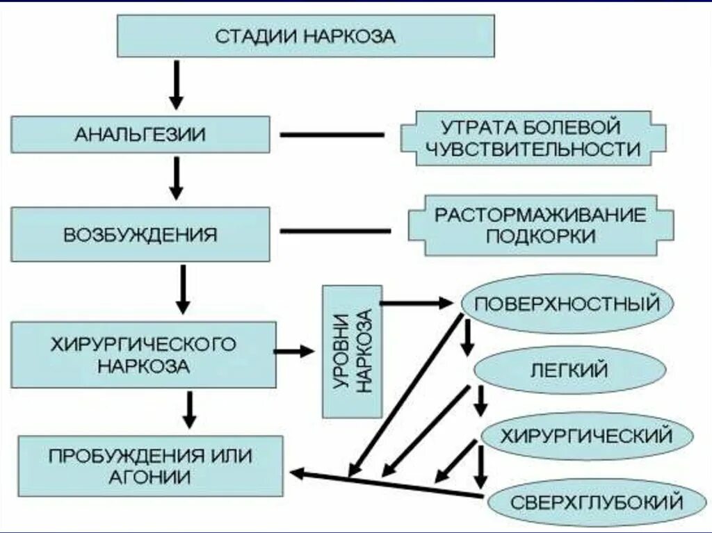 Стадии наркоза схема. Этапы эфирного наркоза. Стадии общих анестетиков. Общая анестезия схема. Стадии анестезии