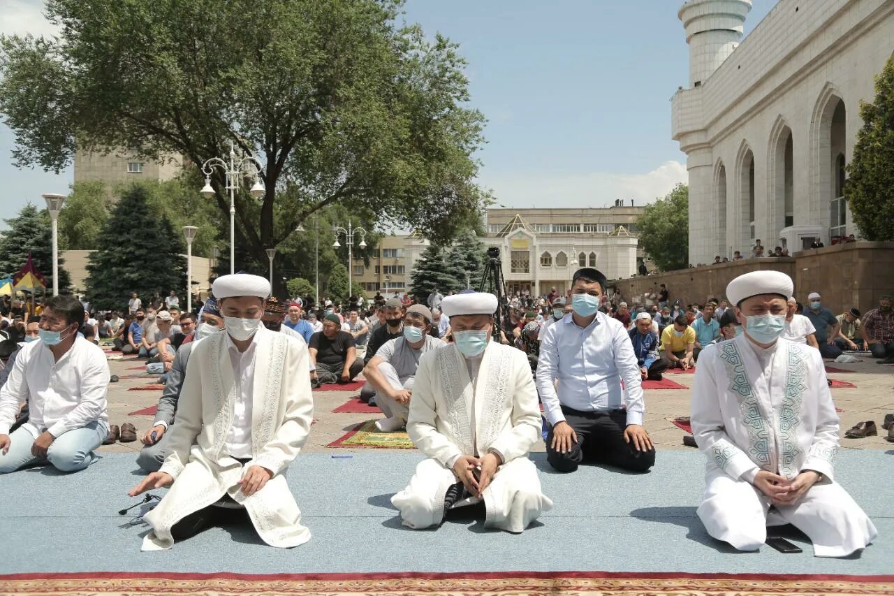 Египет мусульмане. Наиб Верховного муфтия. Мусульмане Египта в камисе. Имамы города Астана.