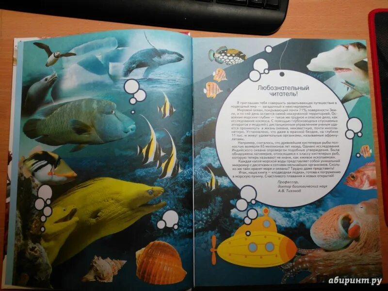 Схема жизнь в океане. Книга жизнь океана Росмэн. Авторы книги жизнь океана. Жизнь в океане. Тихонов про моря и океаны.