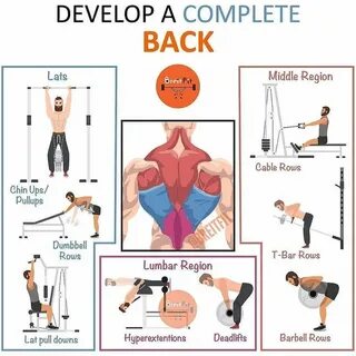 Back exercises
