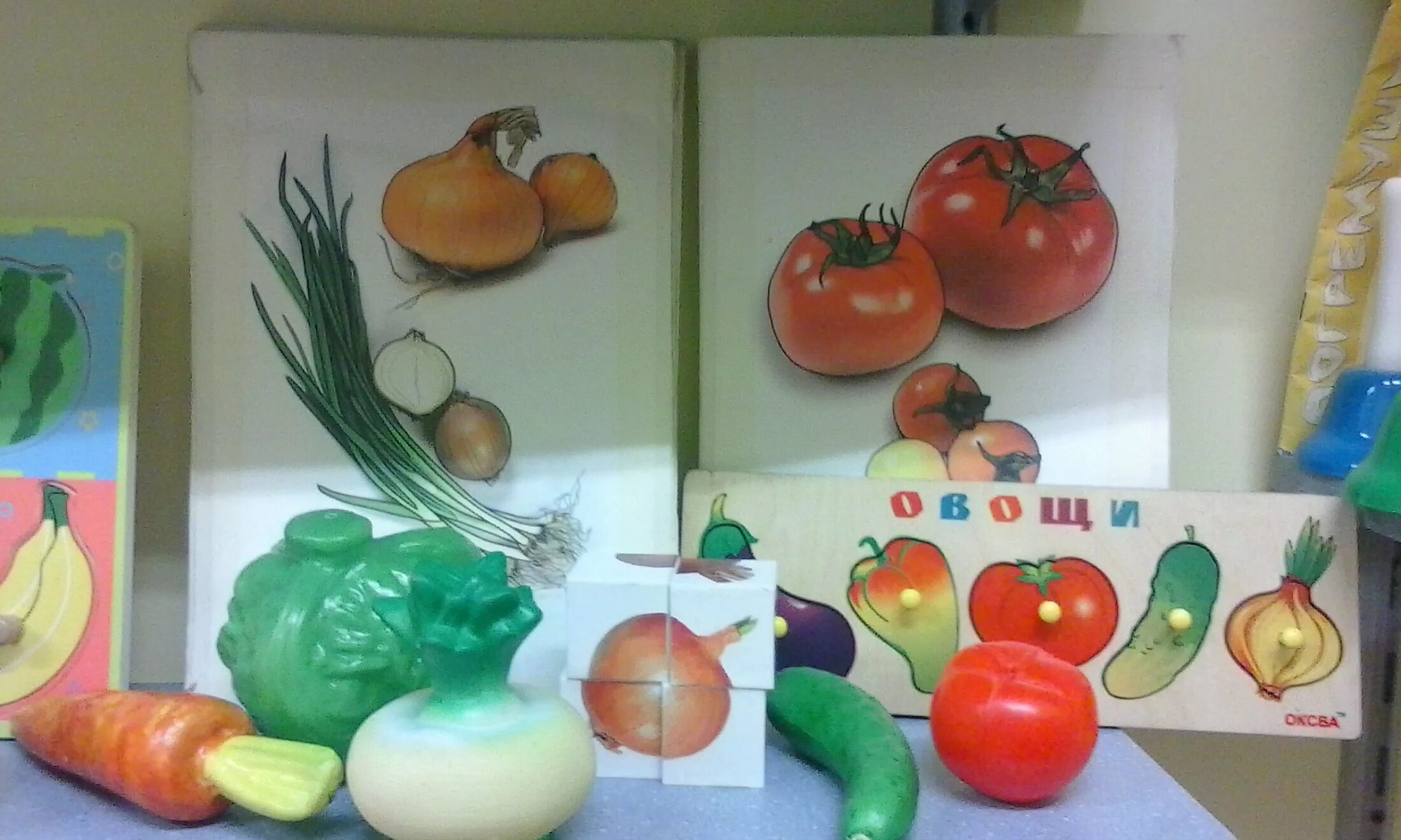 Занятия овощи средняя группа. Муляжи овощей и фруктов для детского сада. Овощи младшая группа. Овощи и фрукты занятие в детском саду. Муляж овощей и фруктов в ДОУ.