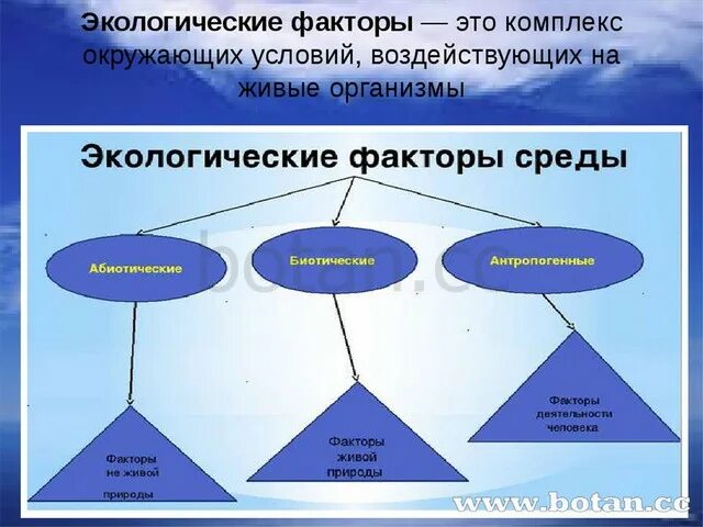 Факторы среды биология 11 класс. Экологические факторы. Экологические факторы среды. Группы экологических факторов схема. Экологические факторы это в биологии.