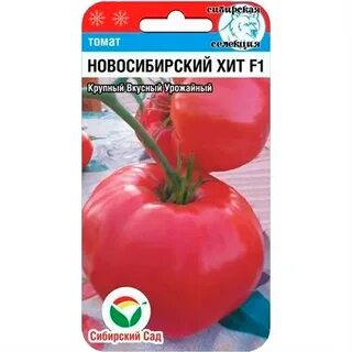 Семена помидор новосибирск
