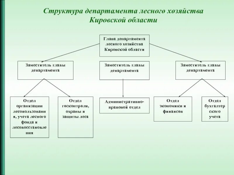 Сайт министерства лесного кировской. Структура лесного хозяйства. Структура Министерства лесного хозяйства. Структура департамента лесного хозяйства. Структура лесного отдела.