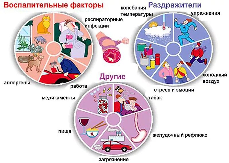 Бронхиальный орви. Факторы риска обострения бронхиальной астмы. Этиология факторы риска бронхиальной астмы у детей. Факторы риска заболевания бронхиальной астмой у детей. Факторы риска развития бронхиальной астмы.