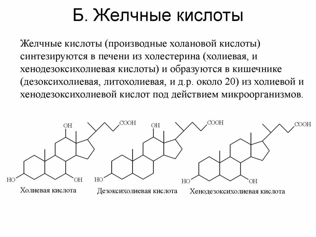 Липиды желчных кислот. Первичные желчные кислоты биохимия. Классификация желчных кислот биохимия. Синтез парных желчных кислот. Химическое строение желчных кислот биохимия.