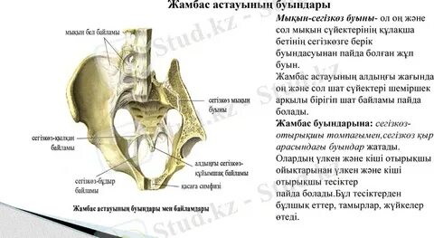 Тарих ауылындағы сексуалдық көңіл көтеру