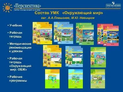 Программы обучения перспектива