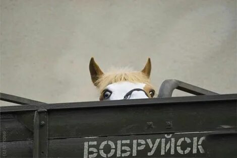 Удафком
