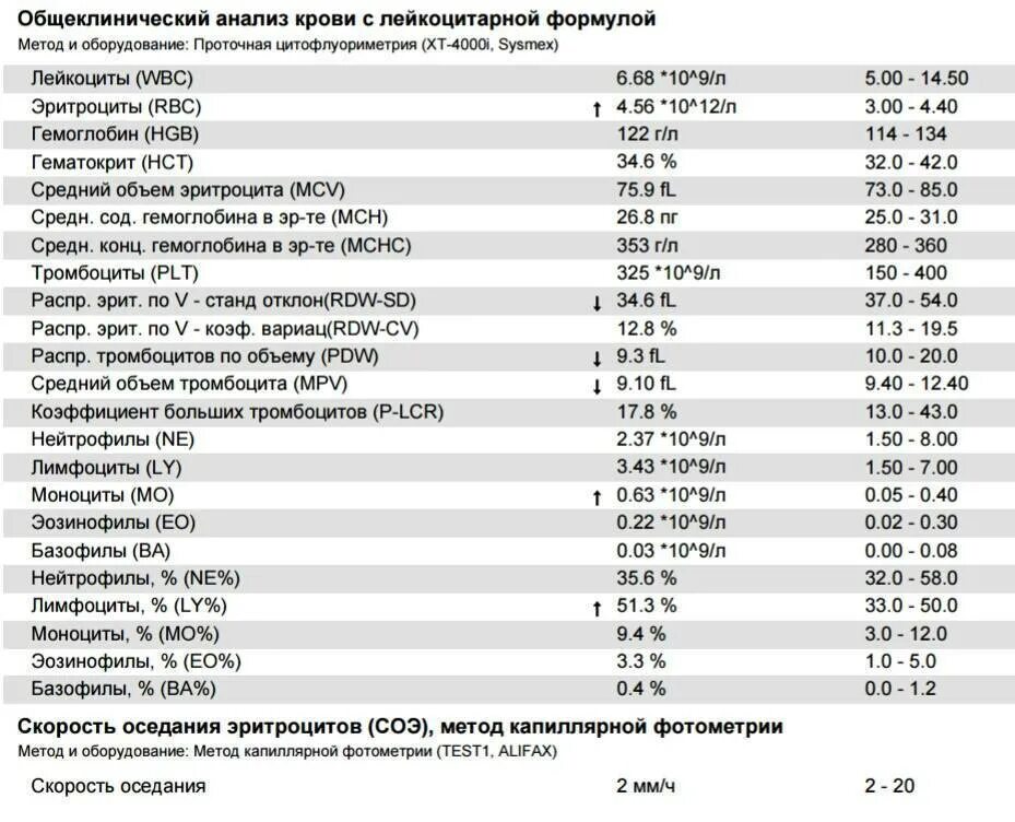 Rbc в крови у мужчин. Общий анализ крови с лейкоцитарной формулой и СОЭ норма. ОАК С лейкоцитарной формулой норма. Нормы ОАК С лейкоформулой анализов. ОАК лейкоформула СОЭ расшифровка норма.