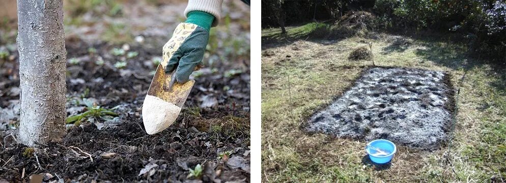 Известковые удобрения. Доломитка для огорода. Мук почва. Известняковая доломитовая мука 3кг. Известкование почвы на даче.