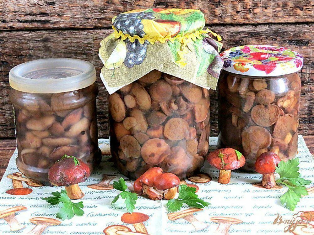 Рецепт вкусных маслят на зиму. Маринованные грибы в банках. грибы в банке маринованные. маслята в банках.