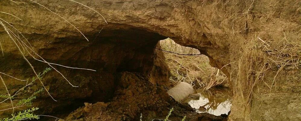 Село Розовка Саратовская область. Лебедевка Саратовская область Краснокутский район. Розовка Саратовская область Краснокутский район поселок. Саратовская обл.Краснокутский р-он.с.Лавровка.фото.