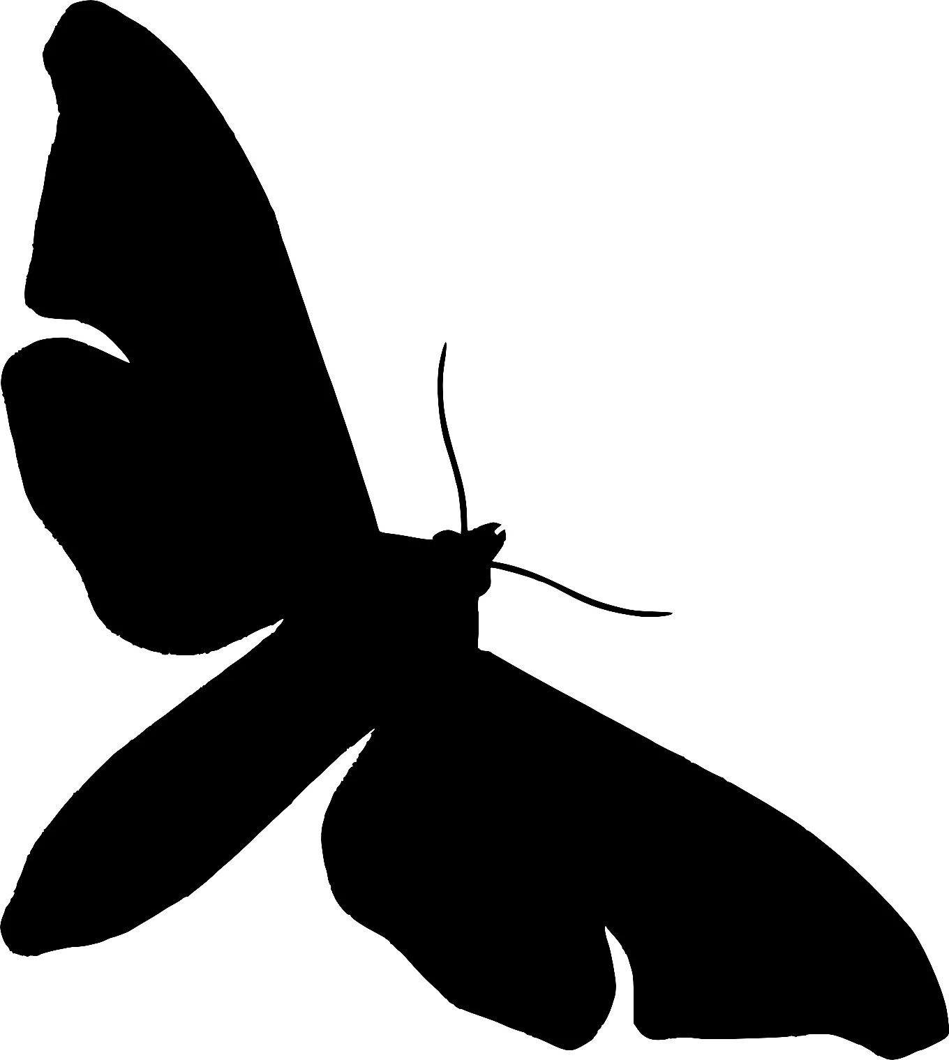 Черные бабочки 1. Силуэт бабочки. Мотылек силуэт. Силуэт бабочки на прозрачном фоне. Контуры бабочек для декора.