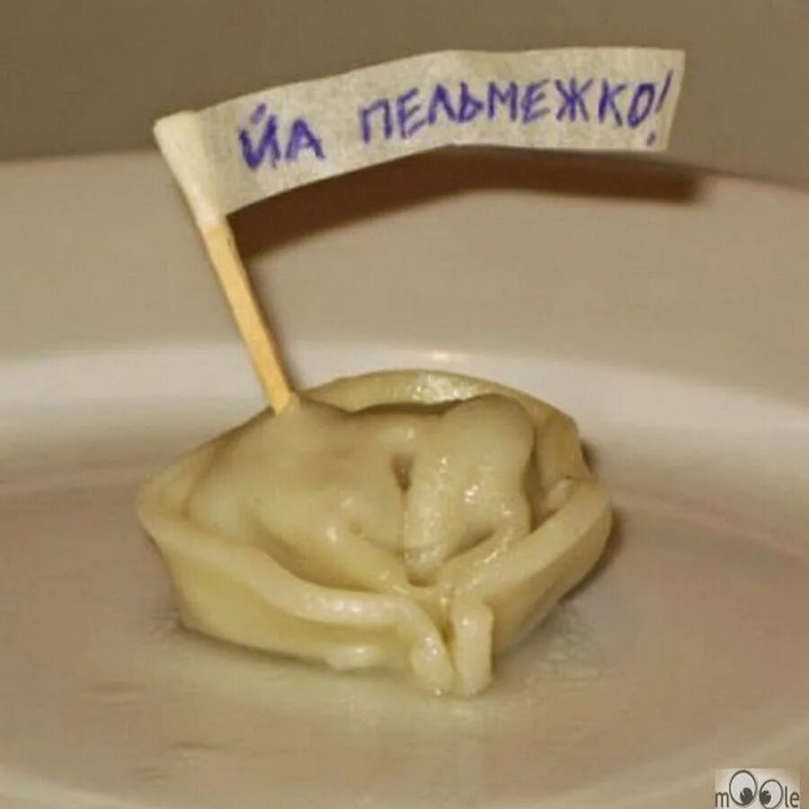 Пельмень рисунок смешной. Смешные пельмени до слез. Смешные пельмени. Пикабу пельмень. Гигантский пельмень.