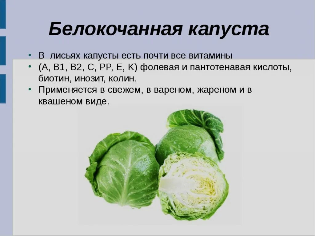 Сколько витаминов в капусте. Витамин с 100 гр белокочанной капусты. Витамины в капусте белокочанной. Какие витамины содержатся в капусте. Какие витамины содержатся в капусте белокочанной.