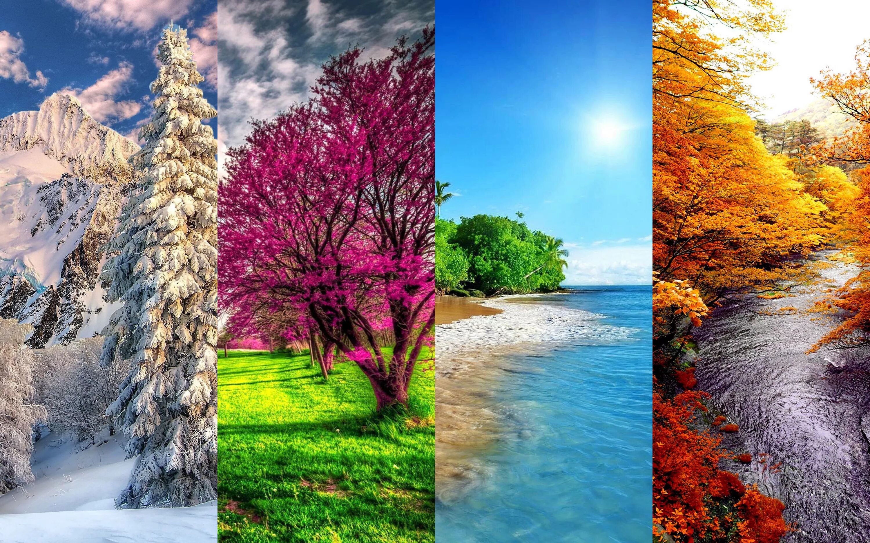 Spring is than winter. Зима,Весна,лето,осень. Пейзаж времена года. Пейзаж по временам года. Поры года картинки.