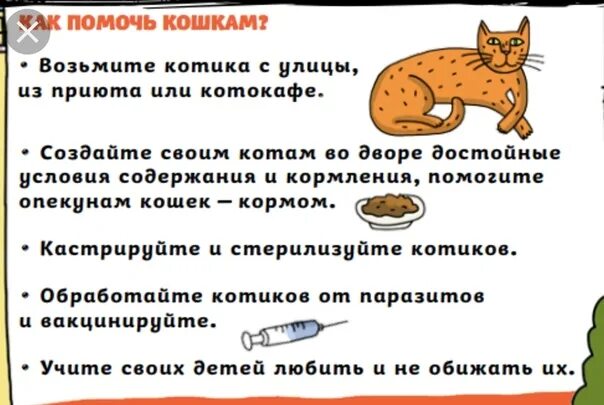 Помоги выбрать кота. Кошка помогает. Помощь кошкам. Возьми кота.