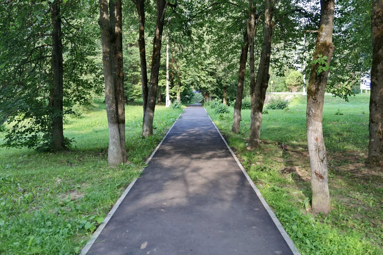 Тропа народа. Тропа. Народная тропа. Тропа натоптанная парк. Народная тропа Мурино.