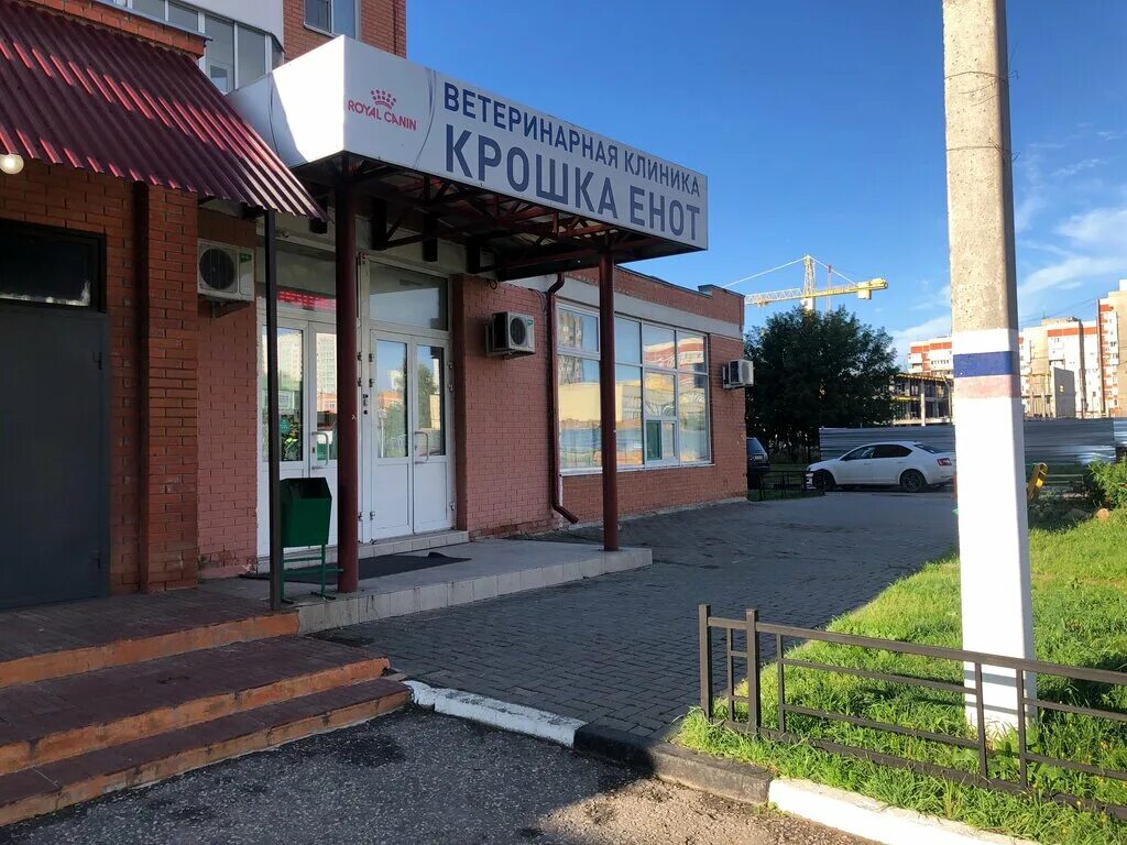 Крошка енот ветеринарная