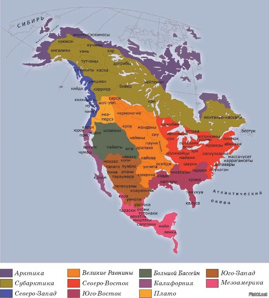 Северная америка ареалы