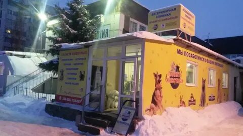 Ветклиника планета отзывы