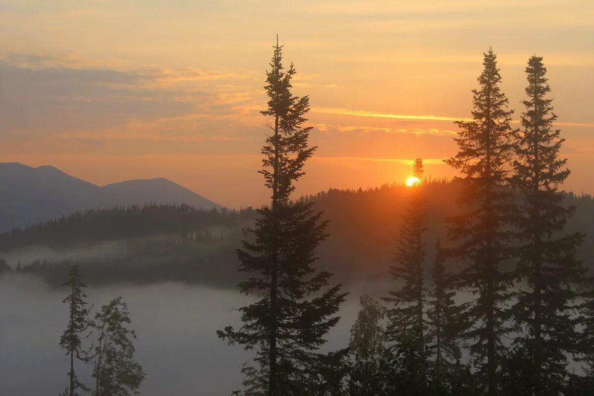 Лес в тумане. Таалайым тайга муз беле. Тайга зимой. Утро в тайге. Зимний рассвет.