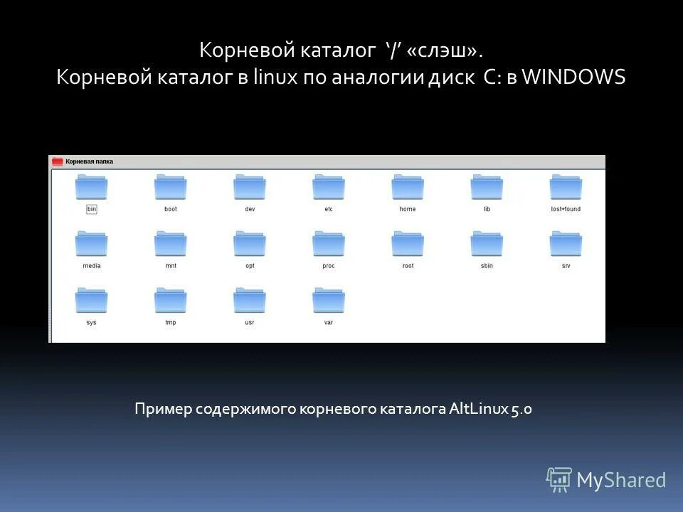 Корневой каталог находится