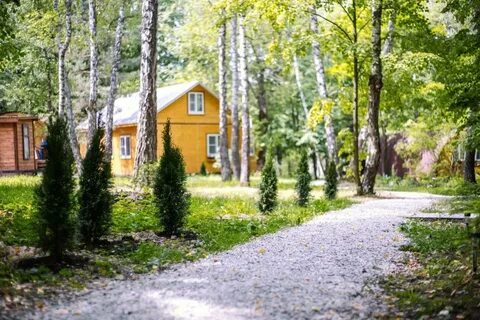 Поленово лагерь сайт
