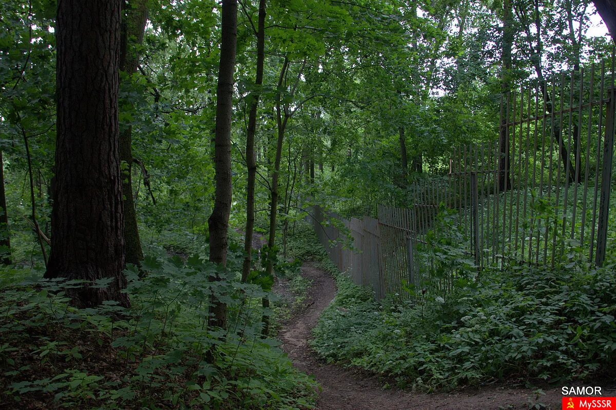 салтыковский лесопарк памптрек. салтыковка никольское. салтыковка шоссе ильича. салтыковка шоссе ильича. судебный участок 1 балашиха.