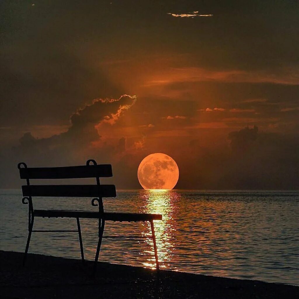 Почему ночью тишину. Нарочь Восход. Сидела рядом тишина и понимающе. Скамейка на закате. Луна и море.