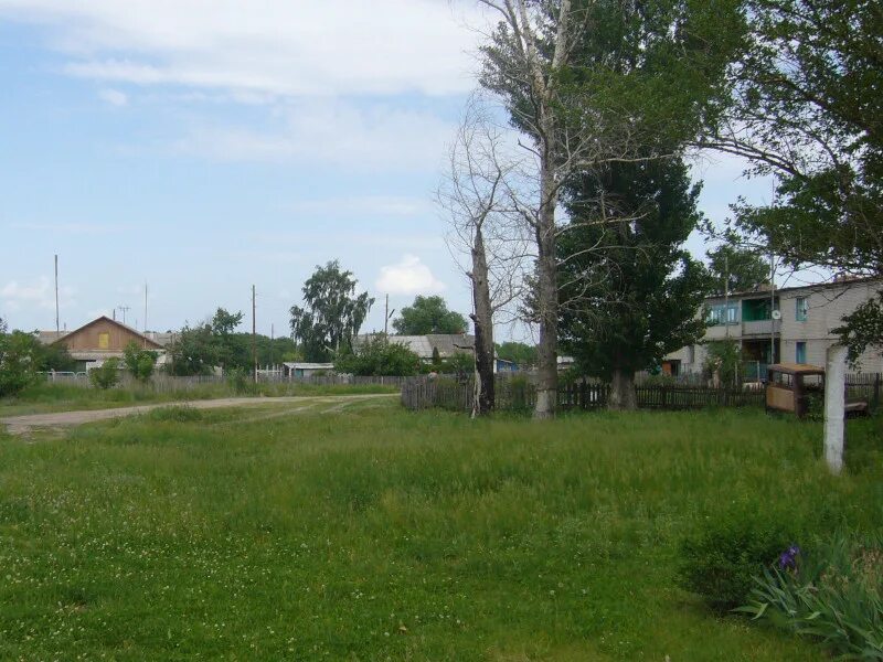 Погода сазоново аткарский. Погода сазоново аткарский. Погода сазоново аткарский. Аткарск поселок тургенево. Погода сазоново аткарский.