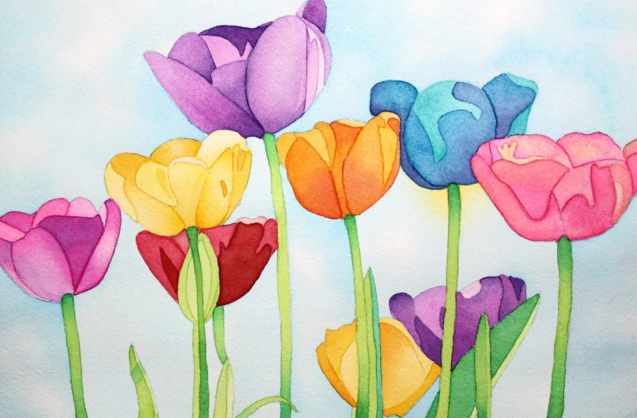 Рисование цветов акварелью для детей. Тюльпаны рисунок. Рисунки цветов для срисовки. Цветы цветными карандашами. Нарисовать рисунок тюльпаны