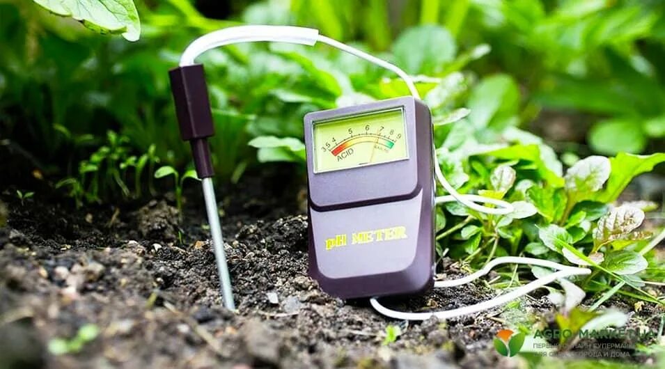 Кислотность почвы 7. Кислотность почвы ph. измеритель ph почвы. измерение кислотности почвы. ph почвы 6.