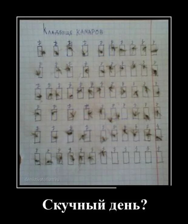 Скука день. Нудный день. Зевающий человек. Спящий кот. Скучный день рождения.