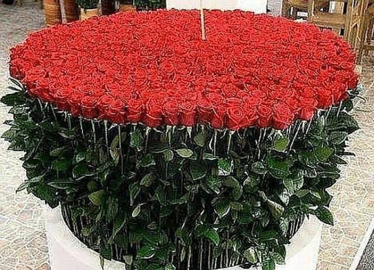 10000 цветов